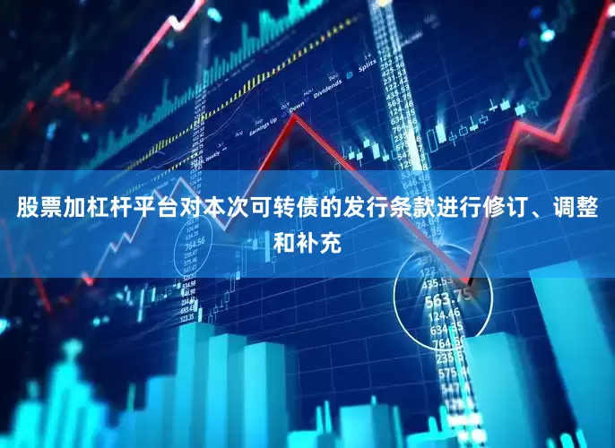 股票加杠杆平台对本次可转债的发行条款进行修订、调整和补充