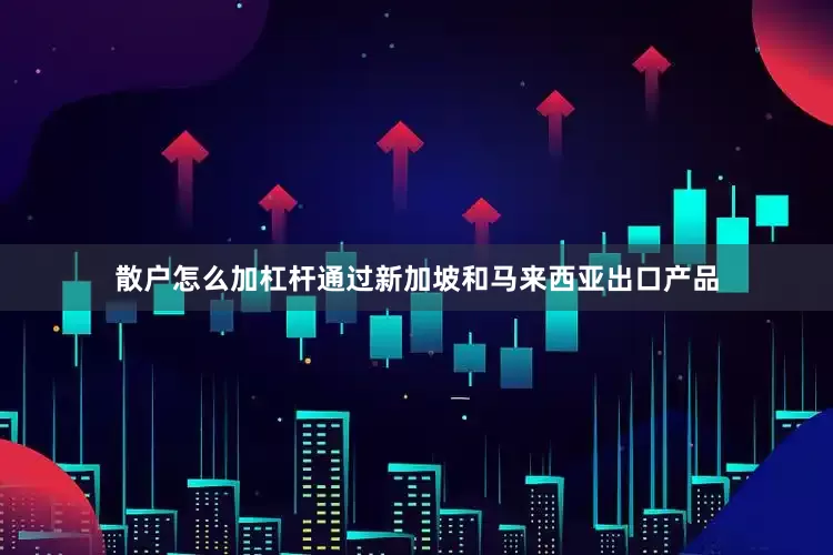 散户怎么加杠杆通过新加坡和马来西亚出口产品